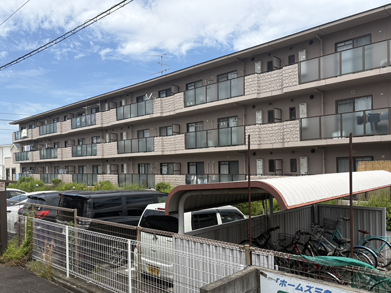 めぞん花水木
