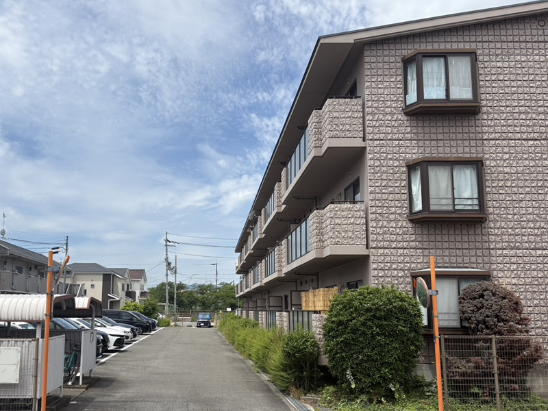 めぞん花水木